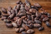 cacao-bean-25229181920
