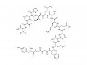 DAMIBIOEssereEndorfinmolekula