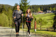 nordicwalking1WEBSIZE