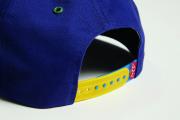 20H2Lego309Hat027CMYK