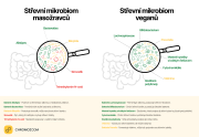 Masozraveci-vs-vegani