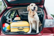 shutterstock-737588791