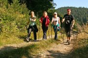 nordicwalkinglanternaWEBSIZE